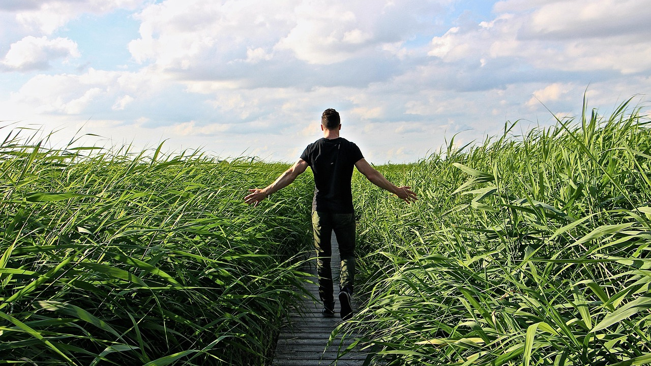 Ein Mann geht durch hohes Gras richtung Horizont