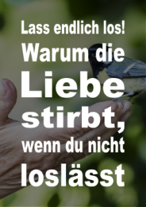 Ebook: Lass endlich los! Warum die Liebe stirbt, wenn du nicht loslässt