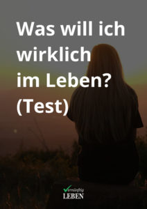 Lebens-Test: Was will ich im Leben? (Coverbild)